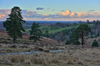 Картинка природа пейзажи лес ручей холмы равнина облака