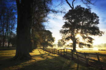 Картинка природа восходы закаты дымка свет деревья забор утро
