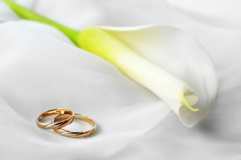 Картинка разное украшения +аксессуары +веера цветы обручальные кольца