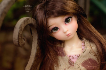 Картинка разное игрушки кукла