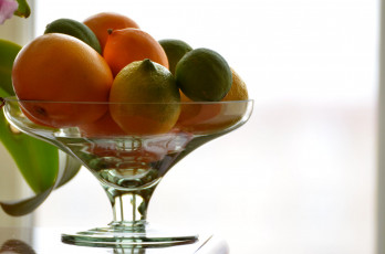 Картинка еда цитрусы ваза