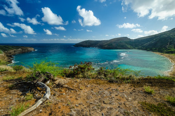 Картинка природа побережье бухта океан пляж