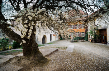 Картинка города -+здания +дома весна