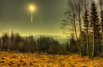 Картинка природа восходы закаты лес солнце трава поле