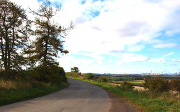 Картинка природа дороги обочина кусты поля облака небо дорога шоссе поворот деревья