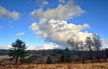 Картинка природа пейзажи поле лес облака