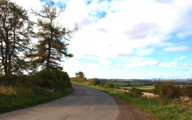 Обои картинки фото природа, дороги, обочина, кусты, поля, облака, небо, дорога, шоссе, поворот, деревья