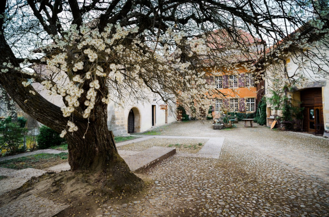 Обои картинки фото города, - здания,  дома, весна