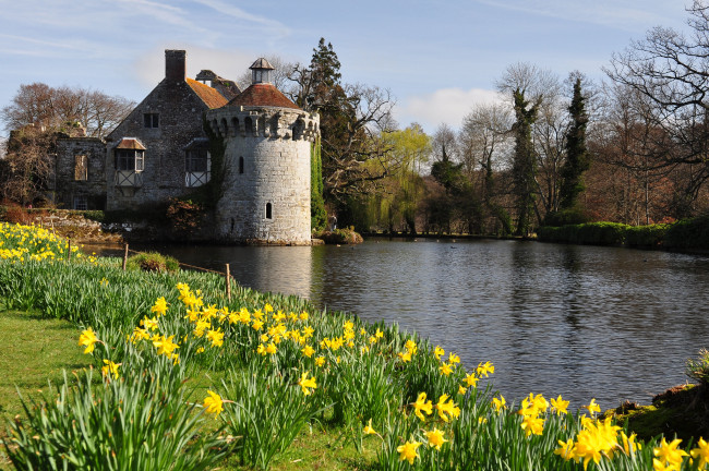 Обои картинки фото scotney castle, города, - дворцы,  замки,  крепости, река, цветы, замок