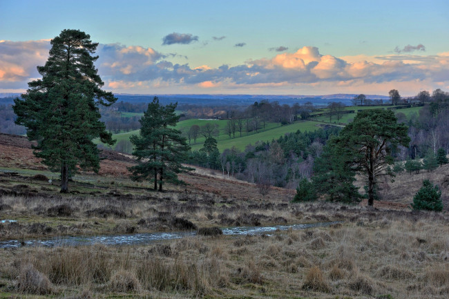 Обои картинки фото природа, пейзажи, лес, ручей, холмы, равнина, облака