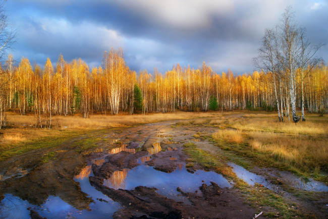 Обои картинки фото природа, дороги, осень