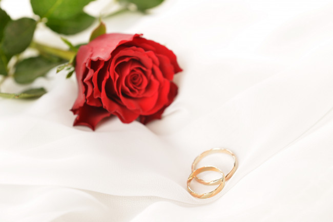 Обои картинки фото разное, украшения,  аксессуары,  веера, обручальные, кольца, цветы