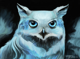 Картинка рисованное животные +птицы +совы +филины взгляд птица сова