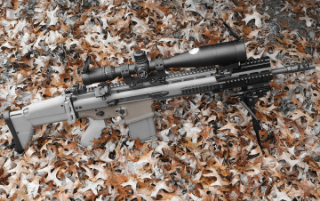 Картинка оружие автоматы оптика fn scar 17s автомат