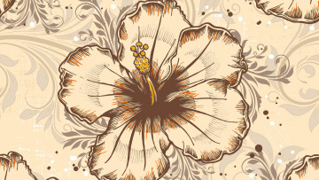 Картинка векторная+графика цветы+ flowers лепестки фон цветы