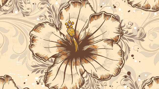 Обои картинки фото векторная графика, цветы , flowers, лепестки, фон, цветы