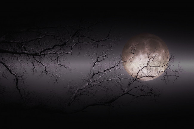 Обои картинки фото космос, луна, светило, ночь