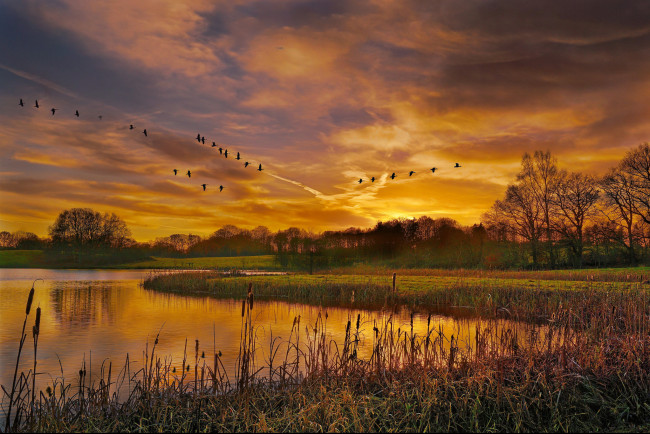 Обои картинки фото природа, восходы, закаты, рассвет