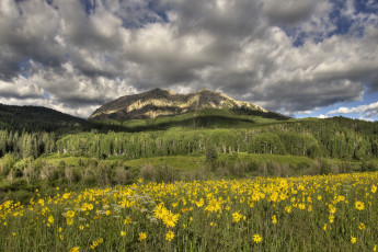 Картинка природа луга простор