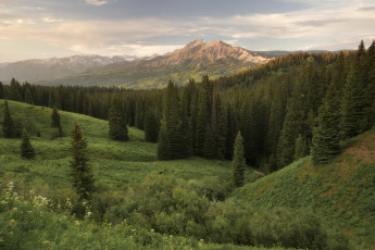 Картинка природа пейзажи простор