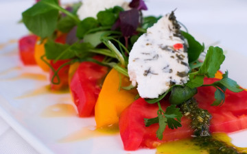 Картинка еда салаты +закуски помидоры салат