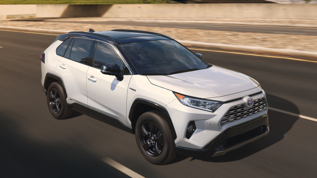 Обои картинки фото toyota rav4 2019, автомобили, toyota, crossover, 2019, rav4