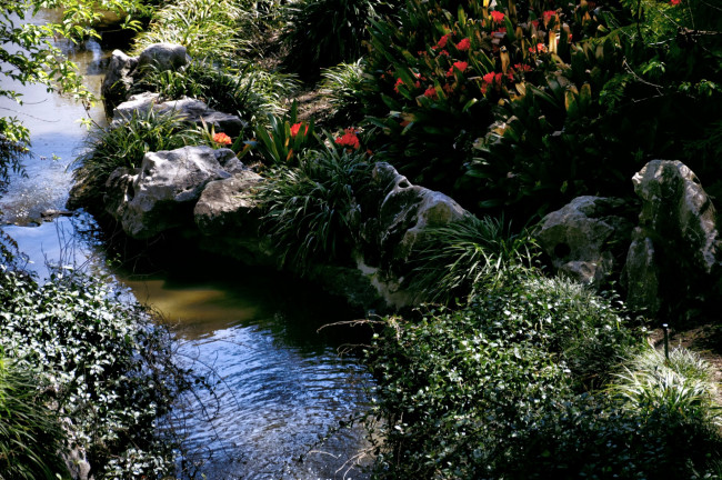 Обои картинки фото природа, парк, пруд