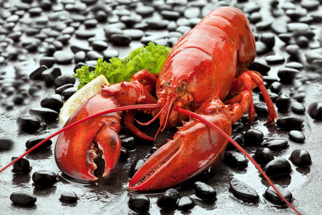 Обои картинки фото еда, рыба,  морепродукты,  суши,  роллы, лобстер