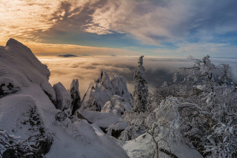 Картинка природа зима снег