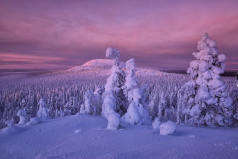 Картинка природа зима снег