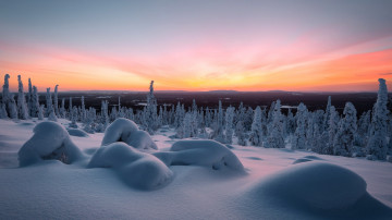 Картинка природа зима снег