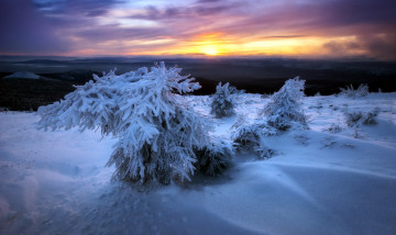 Картинка природа зима снег