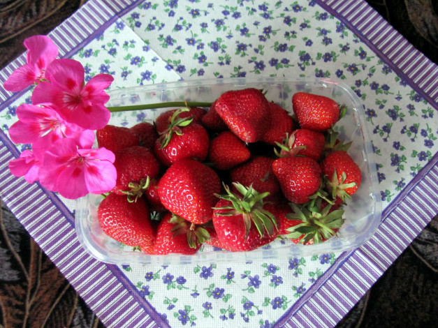 Обои картинки фото еда, клубника,  земляника