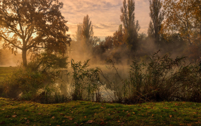 Обои картинки фото природа, реки, озера, туман, река