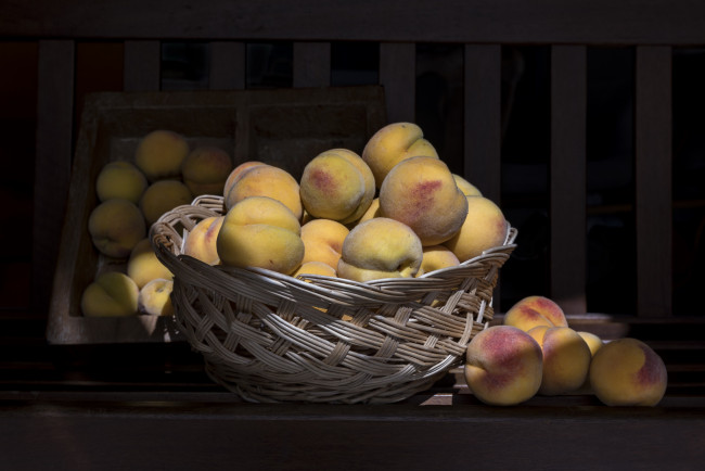 Обои картинки фото еда, персики,  сливы,  абрикосы