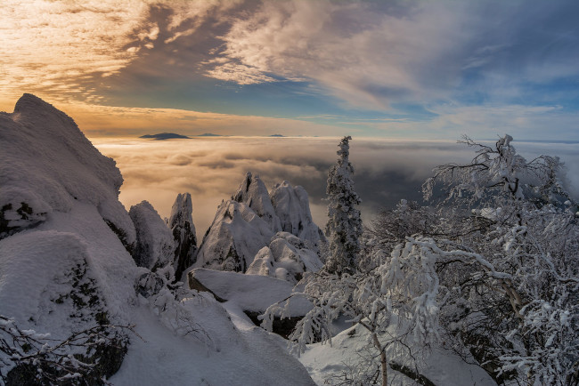 Обои картинки фото природа, зима, снег