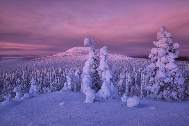 Обои картинки фото природа, зима, снег