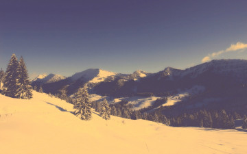 Картинка природа горы снег деревья