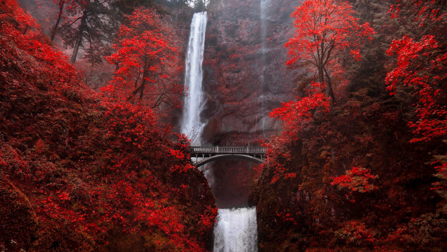 Обои картинки фото multnomah falls, природа, водопады, multnomah, falls, деревья, полнолуние, мост, горы, растения, скалы, вода, водопад малтнома, oрегон, cша