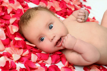 Картинка разное дети ребенок лепестки