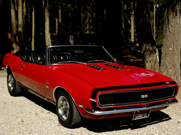 Обои картинки фото автомобили, camaro