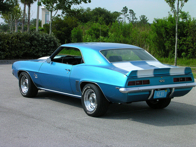 Обои картинки фото автомобили, camaro