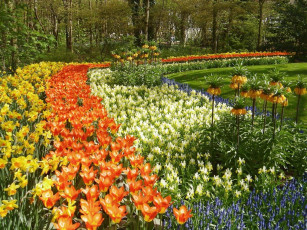 Картинка цветы разные вместе