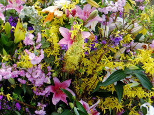 Картинка цветы разные вместе