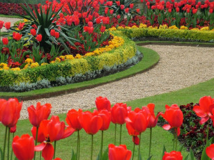 Картинка цветы разные вместе