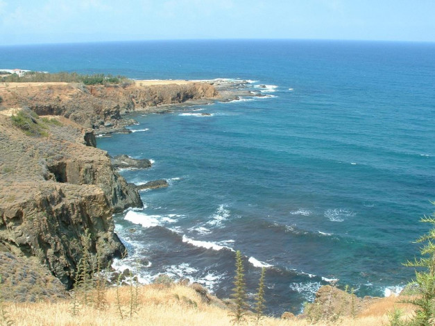 Обои картинки фото 