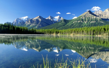 Картинка природа