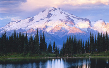 Картинка природа