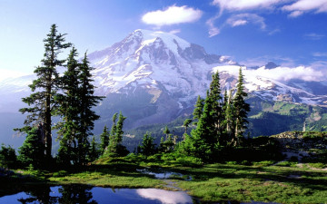 Картинка природа