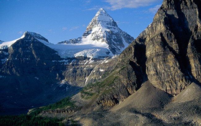 Обои картинки фото природа